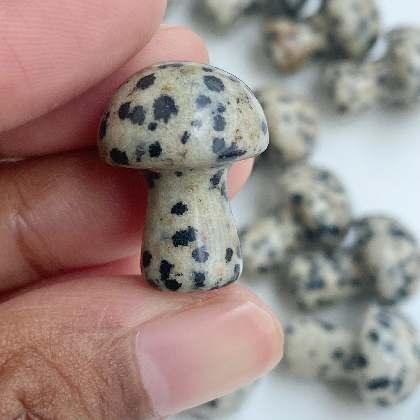 Dalmatian Jasper Mushroom - Pack of 3 | Promotes Joy & Release Negativity