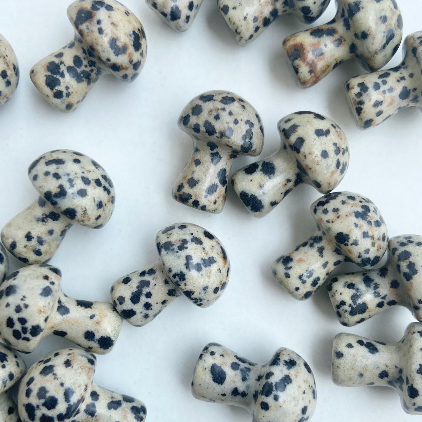 Dalmatian Jasper Mushroom - Pack of 3 | Promotes Joy & Release Negativity