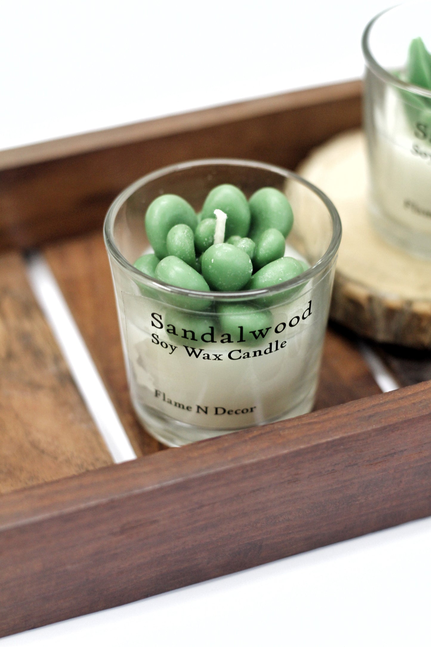 Combo Succulent Candle - Sandalwood | Set of 2