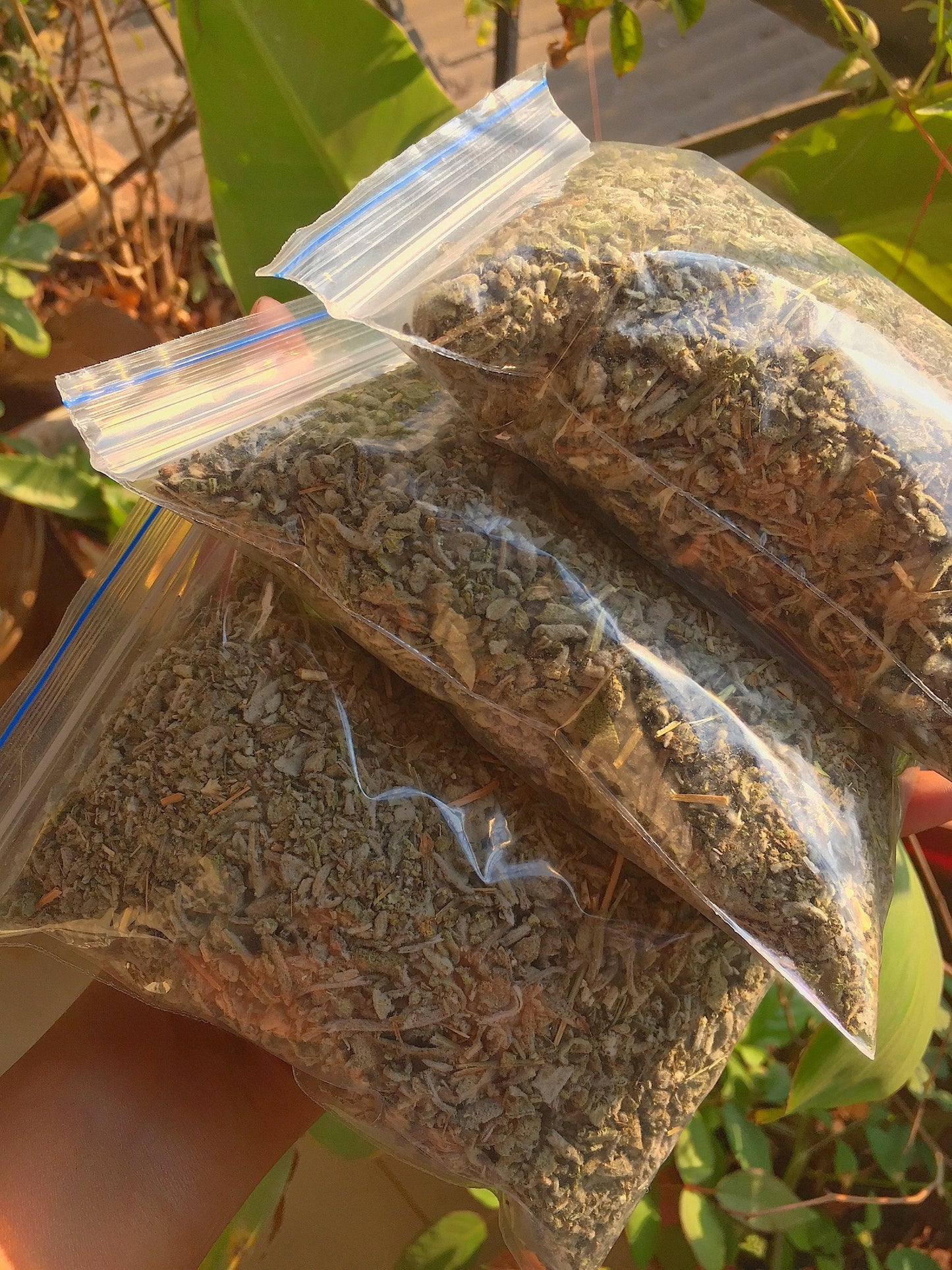 Sage in India Online