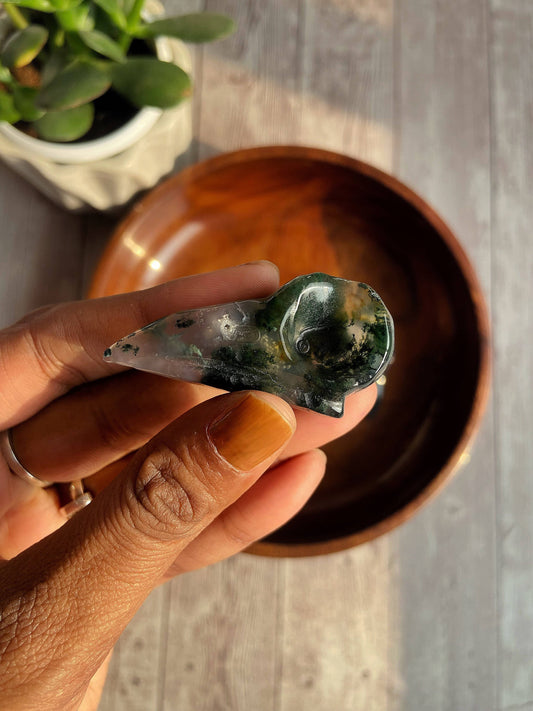 Moss Agate Raven Skull Carving Crystal & Stones