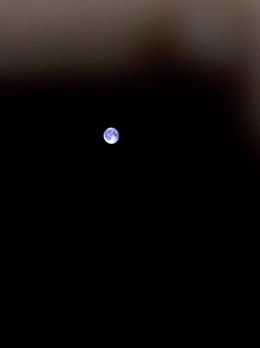 Lunar Eclipse in Gemini Novemeber 2020
