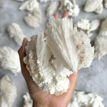 Scolecite with stilbite inclusion Cluster - 522 Gm | Foster kindness and empathy and enhances Spiritual journey