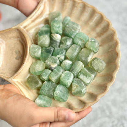 Green Fluorite Tumble Stone - Pack of 3 | Creativity & Intuition