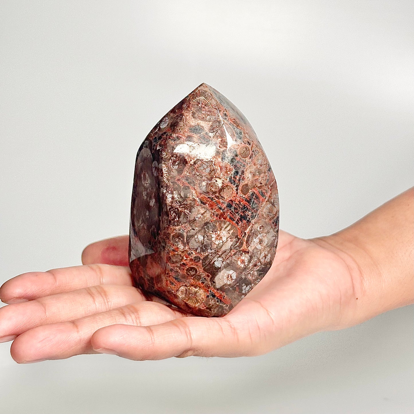 Peanut Obsidian Freeform 291g – Natural Fusion of Fire & Earth