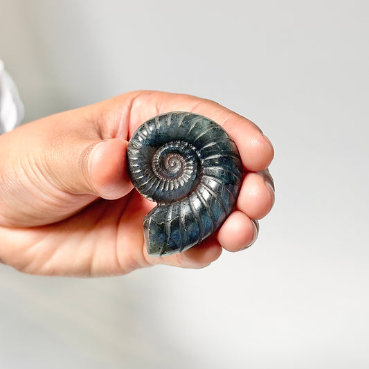 Labradorite Snail Crystal Carving – Patience • Protection • Spiritual Growth