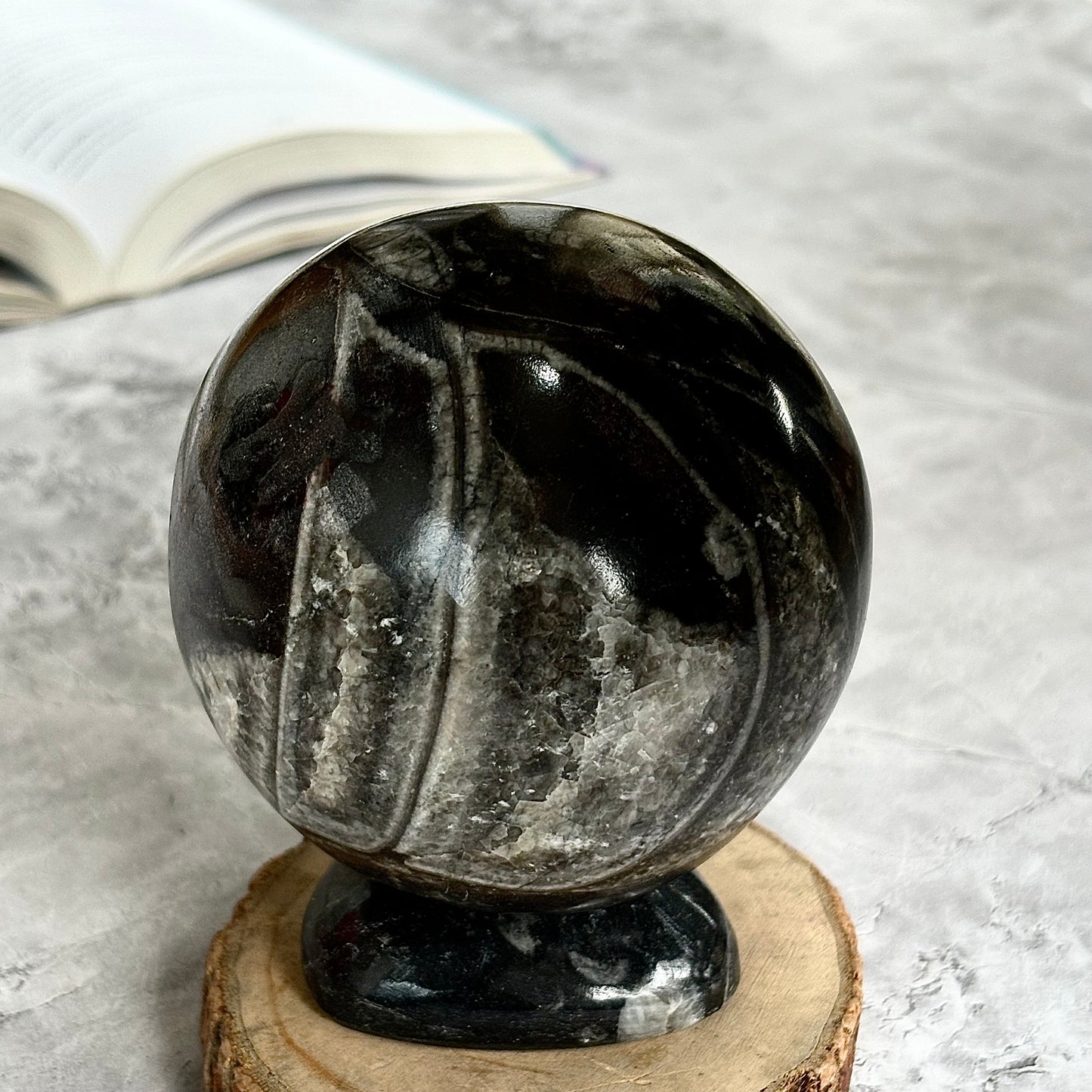 Orthoceras Sphere with Orthoceras Sphere Stand - 1 Kg | Associated with Telepathy, Grounding , Transformation & Past lives