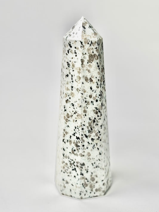 Eight Facet Indian Dalmatian Jasper Tower – 1.1 Kg - (A) Playful Elegance & Balanced Design