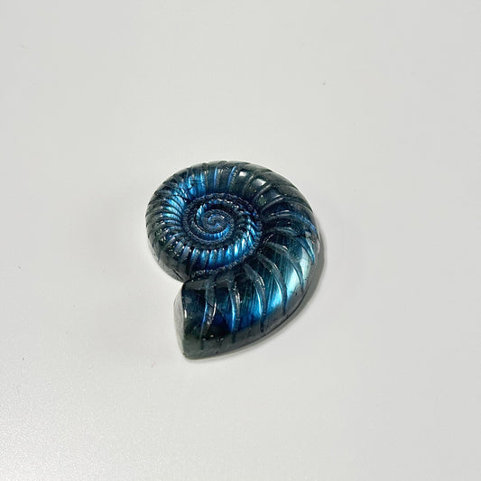 Labradorite Snail Crystal Carving – Patience • Protection • Spiritual Growth