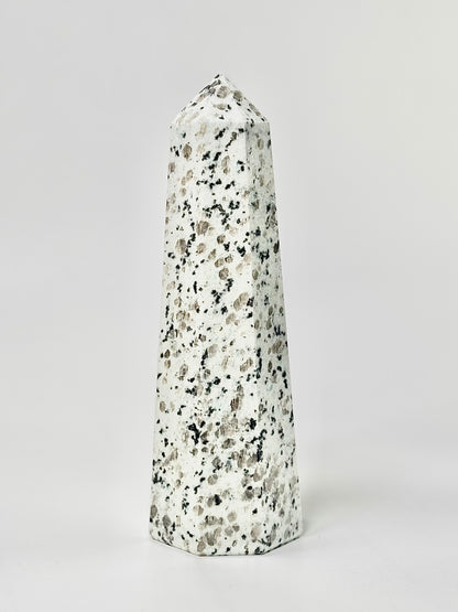 Eight Facet Indian Dalmatian Jasper Tower – 1.1 Kg (B)- Playful Elegance & Balanced Design