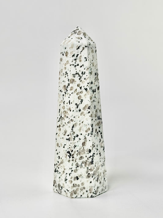 Eight Facet Indian Dalmatian Jasper Tower – 1.1 Kg (B)- Playful Elegance & Balanced Design