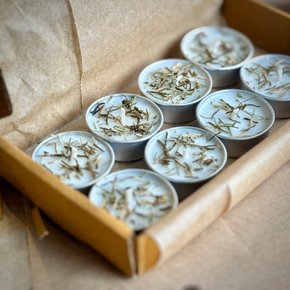 Rosemary Infused Soy Wax Tealight Candles – Unscented