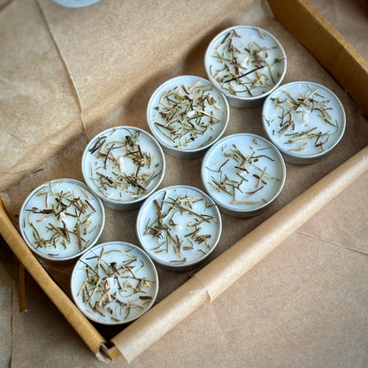 Rosemary Infused Soy Wax Tealight Candles – Unscented