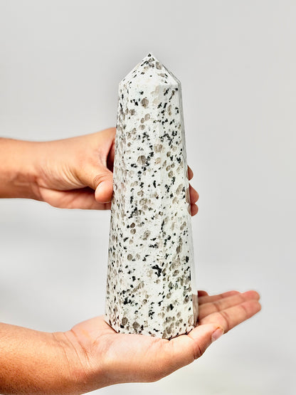Eight Facet Indian Dalmatian Jasper Tower – 1.1 Kg (B)- Playful Elegance & Balanced Design