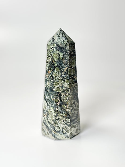 Eight Facet Kambaba Jasper Tower – 806g - Deep Earth Tones &  Harmonised Form