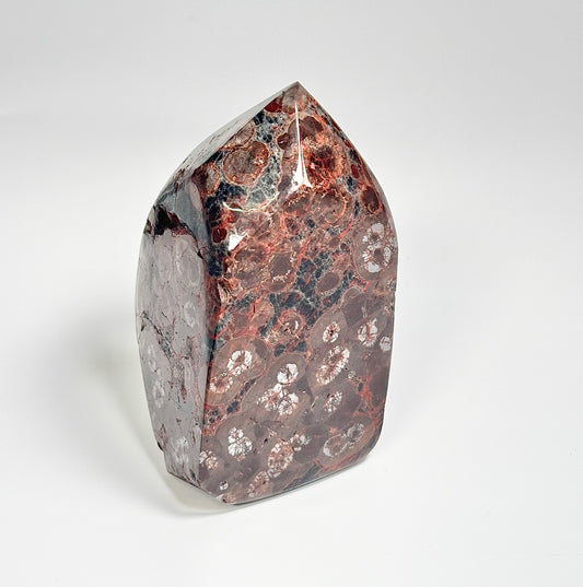 Peanut Obsidian Freeform 291g – Natural Fusion of Fire & Earth