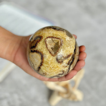 Septarian Sphere with Druzy | Helps with Past & Current Life Regression