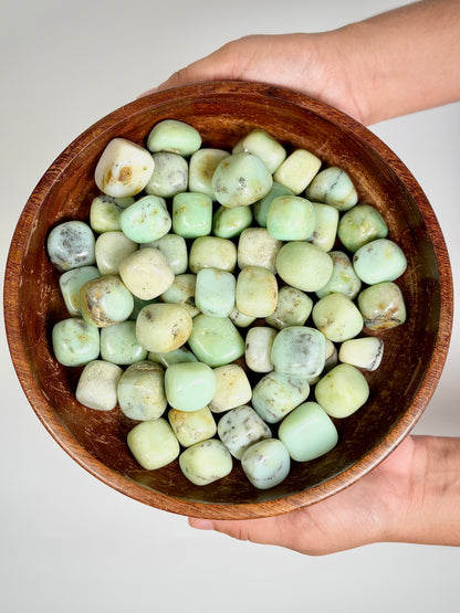 Chrysoprase Tumble Stone – 1 Piece | The Lilith Store
