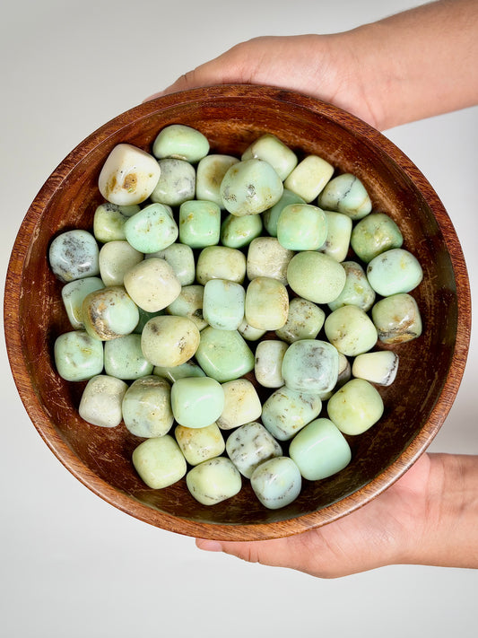 Chrysoprase Tumble Stone – 1 Piece | The Lilith Store