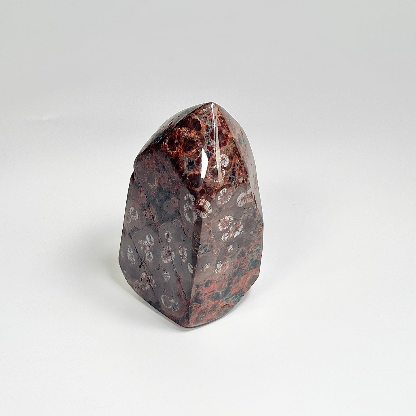 Peanut Obsidian Freeform 291g – Natural Fusion of Fire & Earth