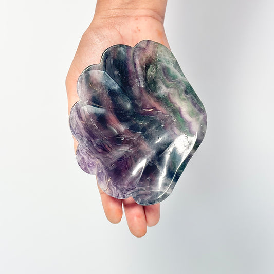 Multi Fluorite Shell Shape Bowl