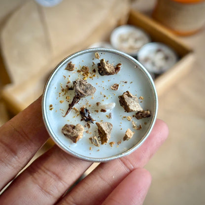 Angelica Infused Soy Wax Tealight Candles – Unscented