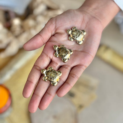 Golden Pyrite Turtle - 1 inch