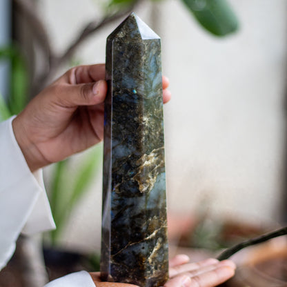 Labradorite XXL Tower - 970 Gm | Promotes Spiritual Growth