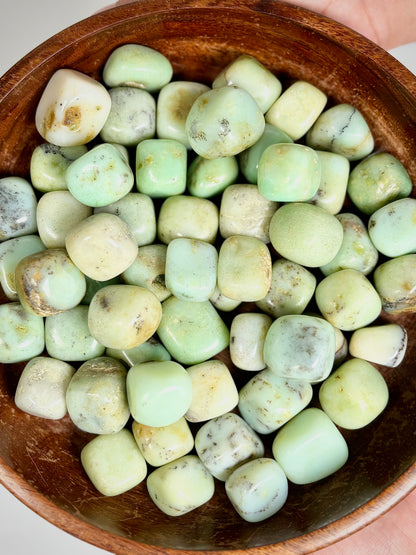 Chrysoprase Tumble Stone – 1 Piece | The Lilith Store