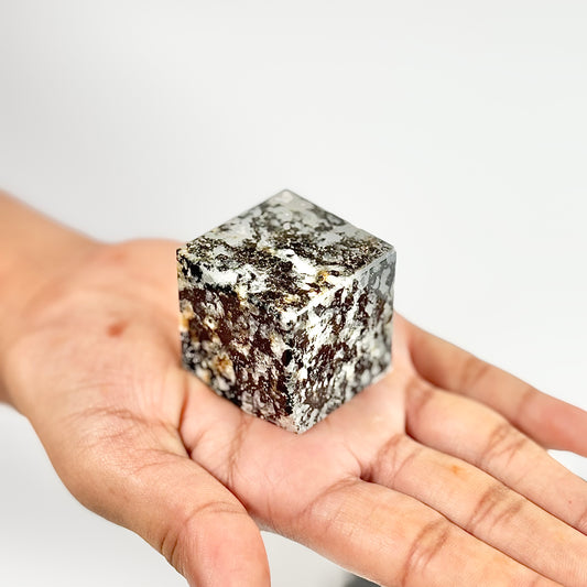 Zebra Jasper Cube - Focus