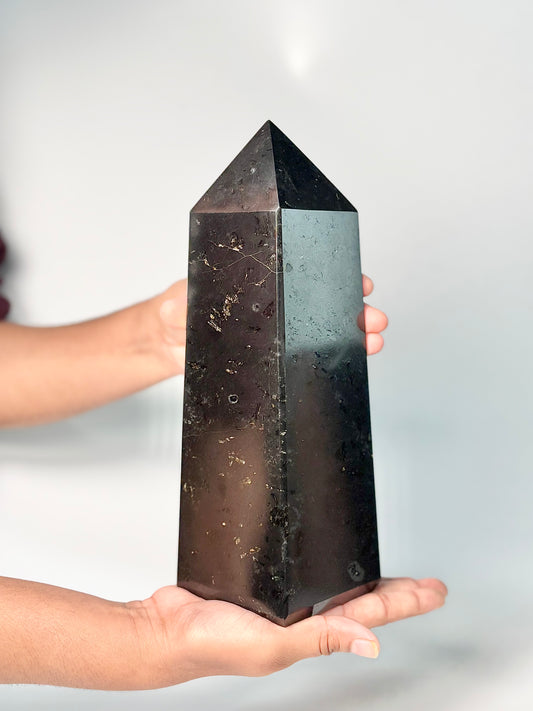 Four Facet Black Tourmaline Tower – 2.6 Kg - Strength, Stability & Refined Style
