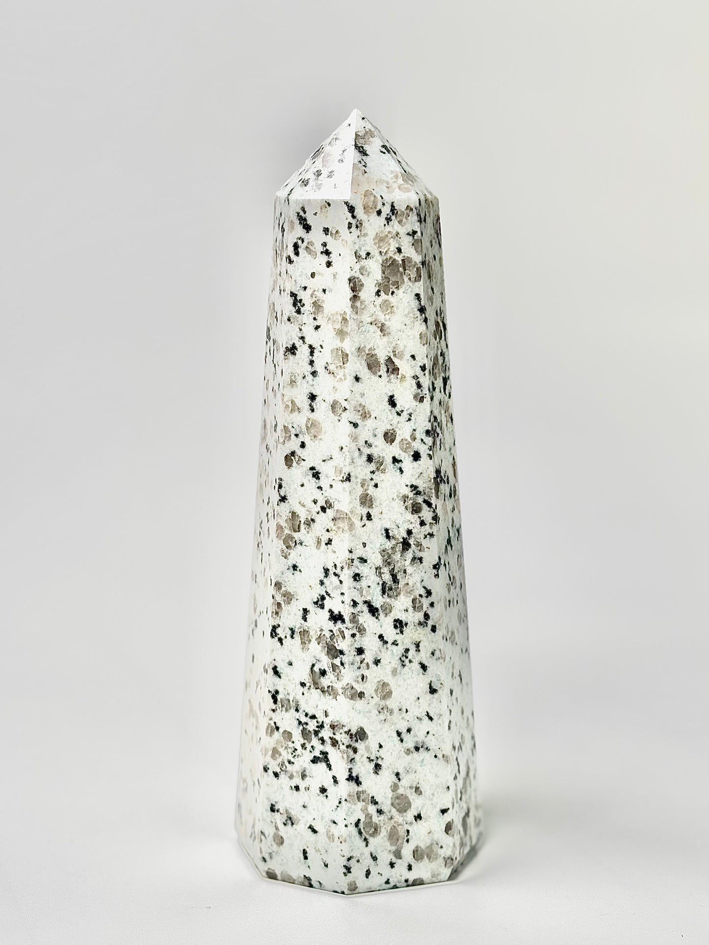 Eight Facet Indian Dalmatian Jasper Tower – 1.1 Kg - (A) Playful Elegance & Balanced Design