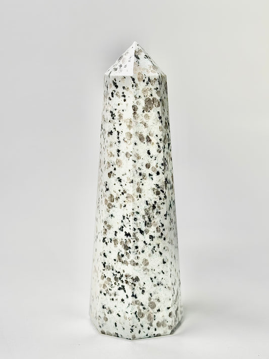 Eight Facet Indian Dalmatian Jasper Tower – 1.1 Kg - (A) Playful Elegance & Balanced Design
