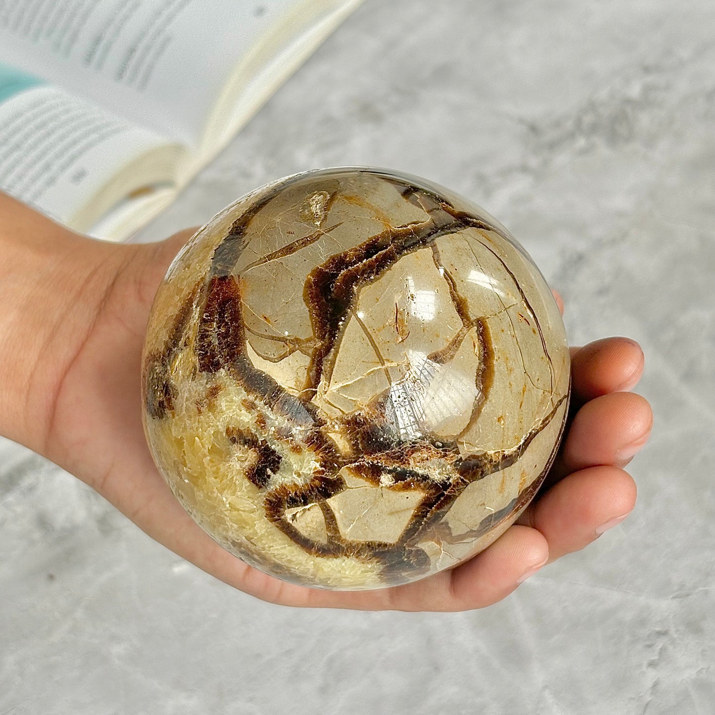 Septarian Sphere with Druzy | Helps with Past & Current Life Regression