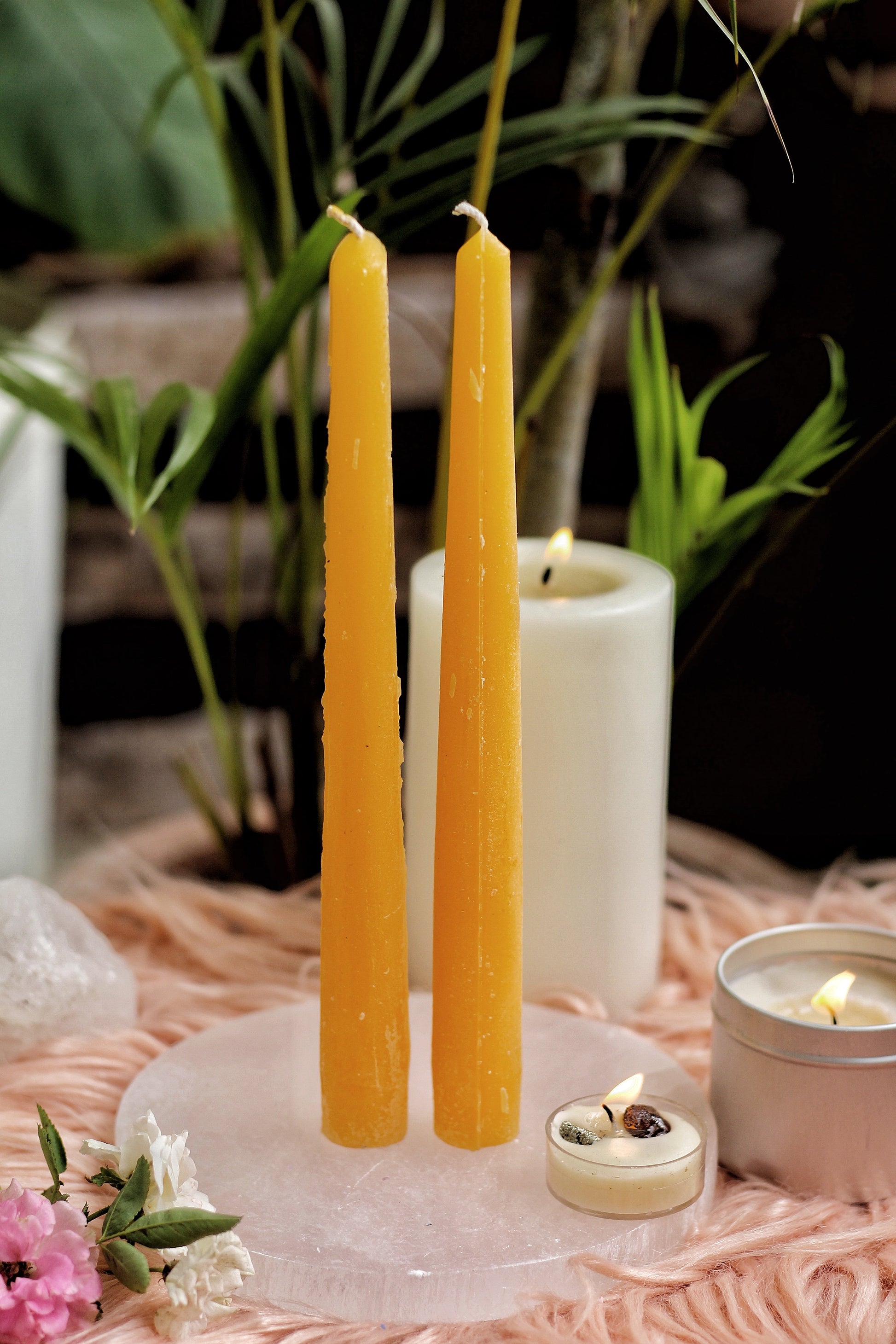 Orange Candle India