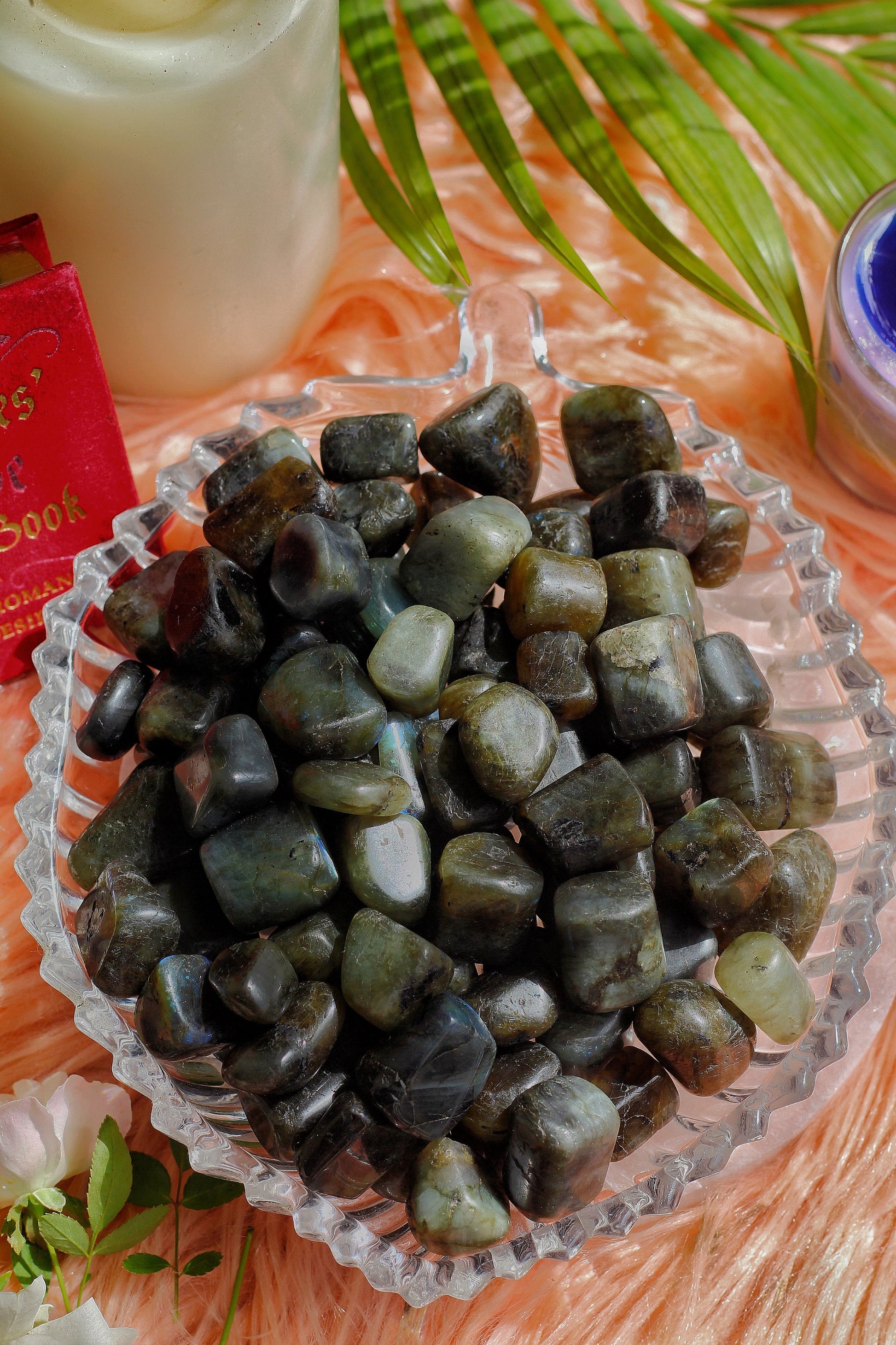 Labradorite Natural Tumble Stone | Spiritual Growth Crystal