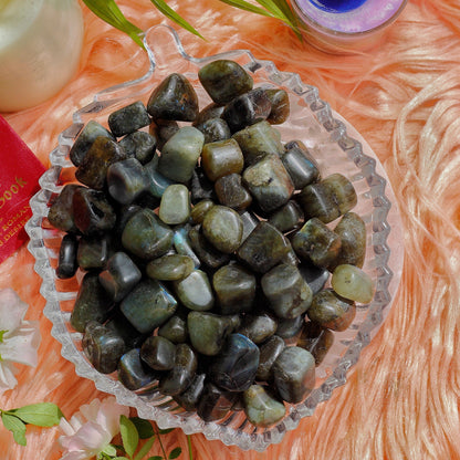 Labradorite Natural Tumble Stone | Spiritual Growth Crystal