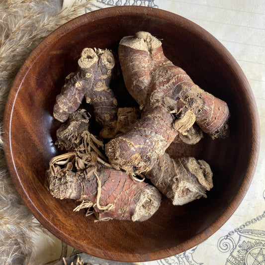 Galangal - 30 Gram Herbs & Roots