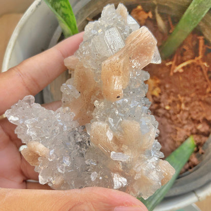 Apophyllite With Stilbite & Chalecodony -230 Gm Crystal Stones