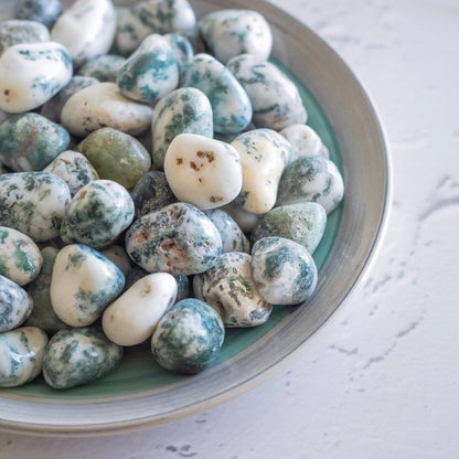 Tree Agate Tumble | Financial Abundance & Balances Yin Yang Crystal Stones