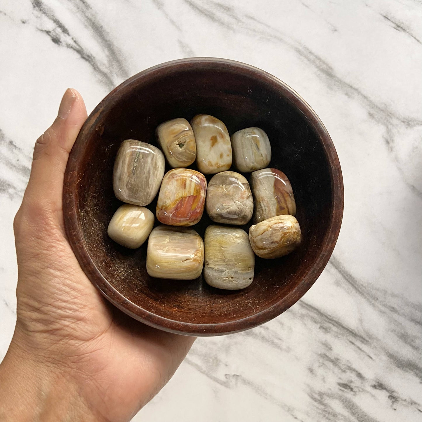 Petrified Wood Tumble | Helps Let Go Unhealthy Emotions Crystal & Stones