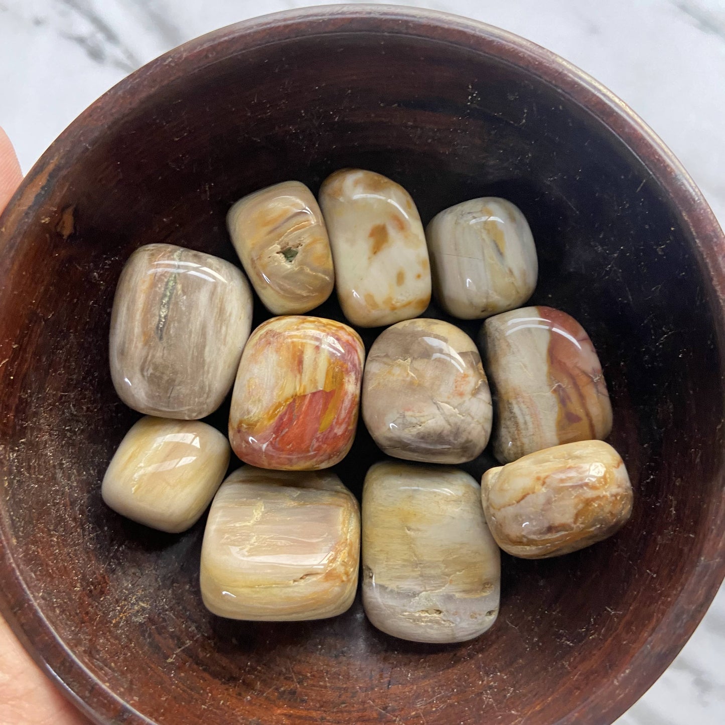 Petrified Wood Tumble | Helps Let Go Unhealthy Emotions Crystal & Stones