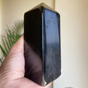 Black Obsidian XL Tower - 550 Gm | Protection & Grounding