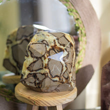 Load image into Gallery viewer, Septarian  free form with Druzy - 2 Kg