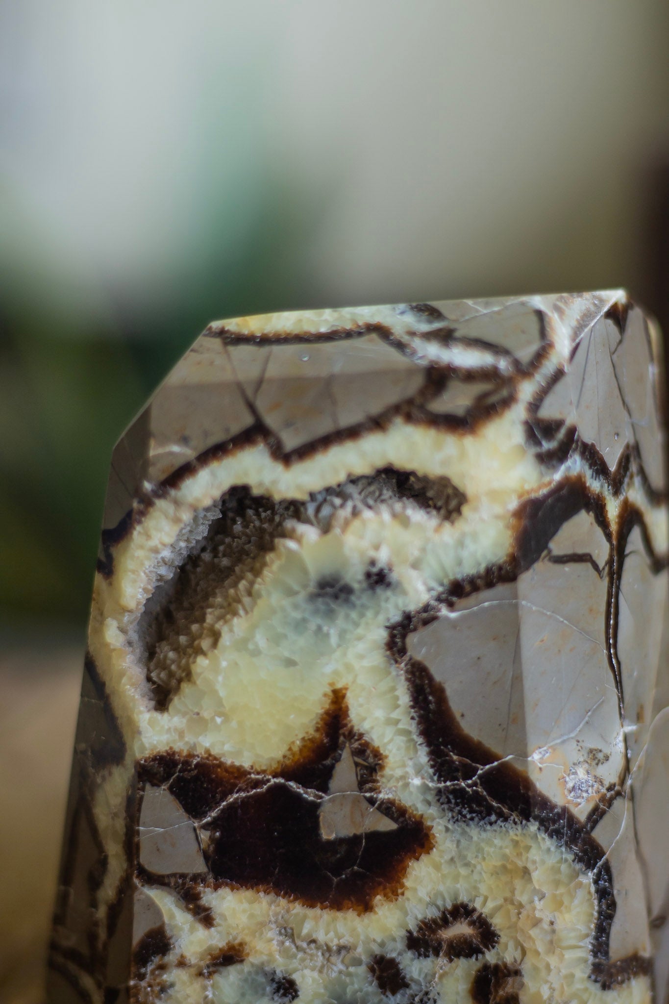 Septarian Free Form With Druzy - 2 Kg Crystal & Stones