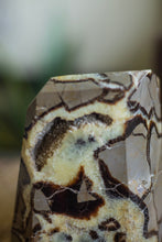 Load image into Gallery viewer, Septarian  free form with Druzy - 2 Kg