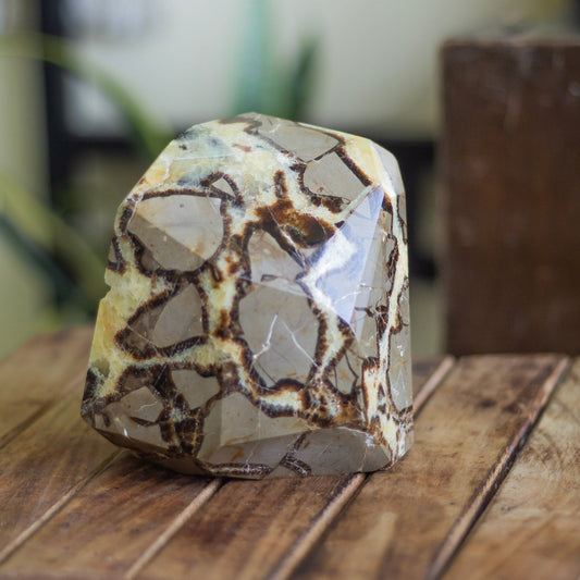 Septarian Free Form With Druzy - 2 Kg Crystal & Stones