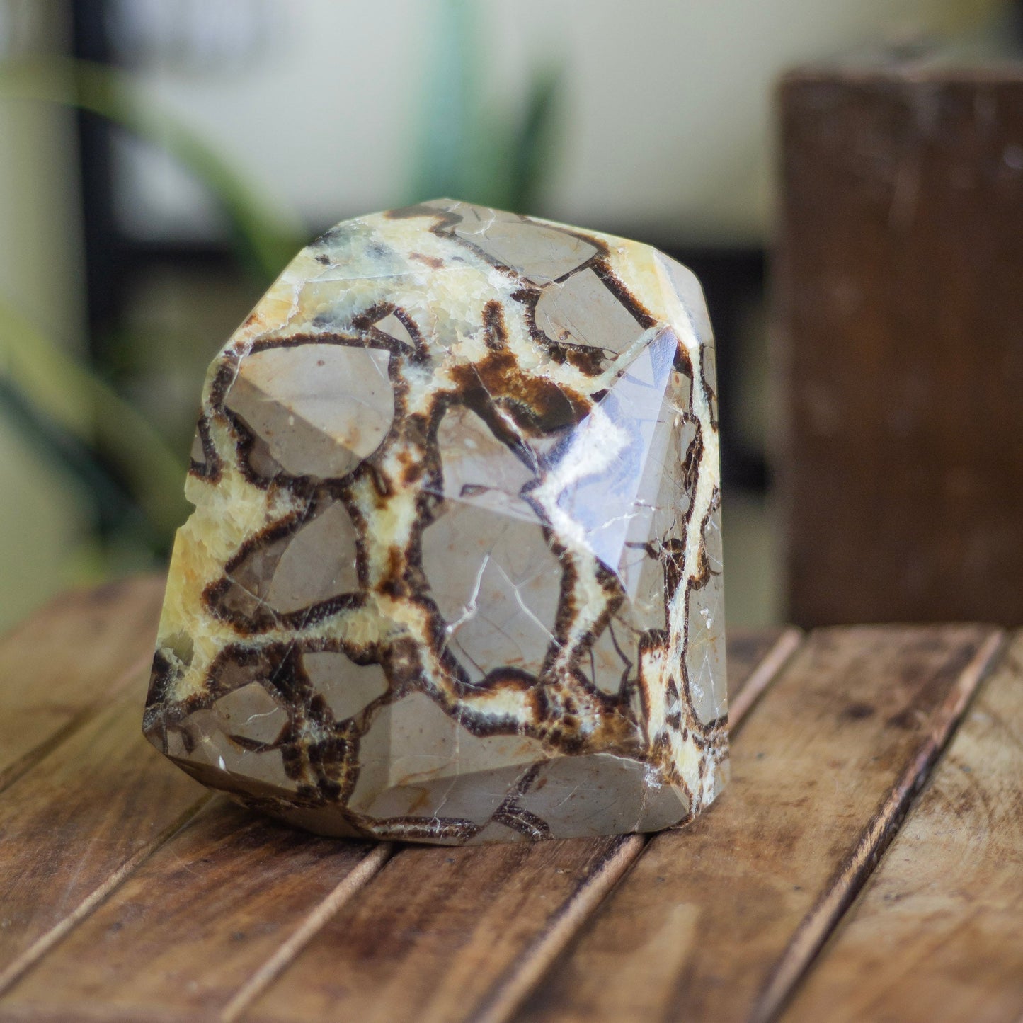 Septarian Free Form With Druzy - 2 Kg Crystal & Stones