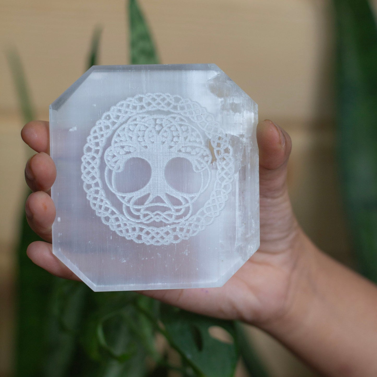 Tree Of Life Symbol Carved Selenite Plate Crystal & Stones