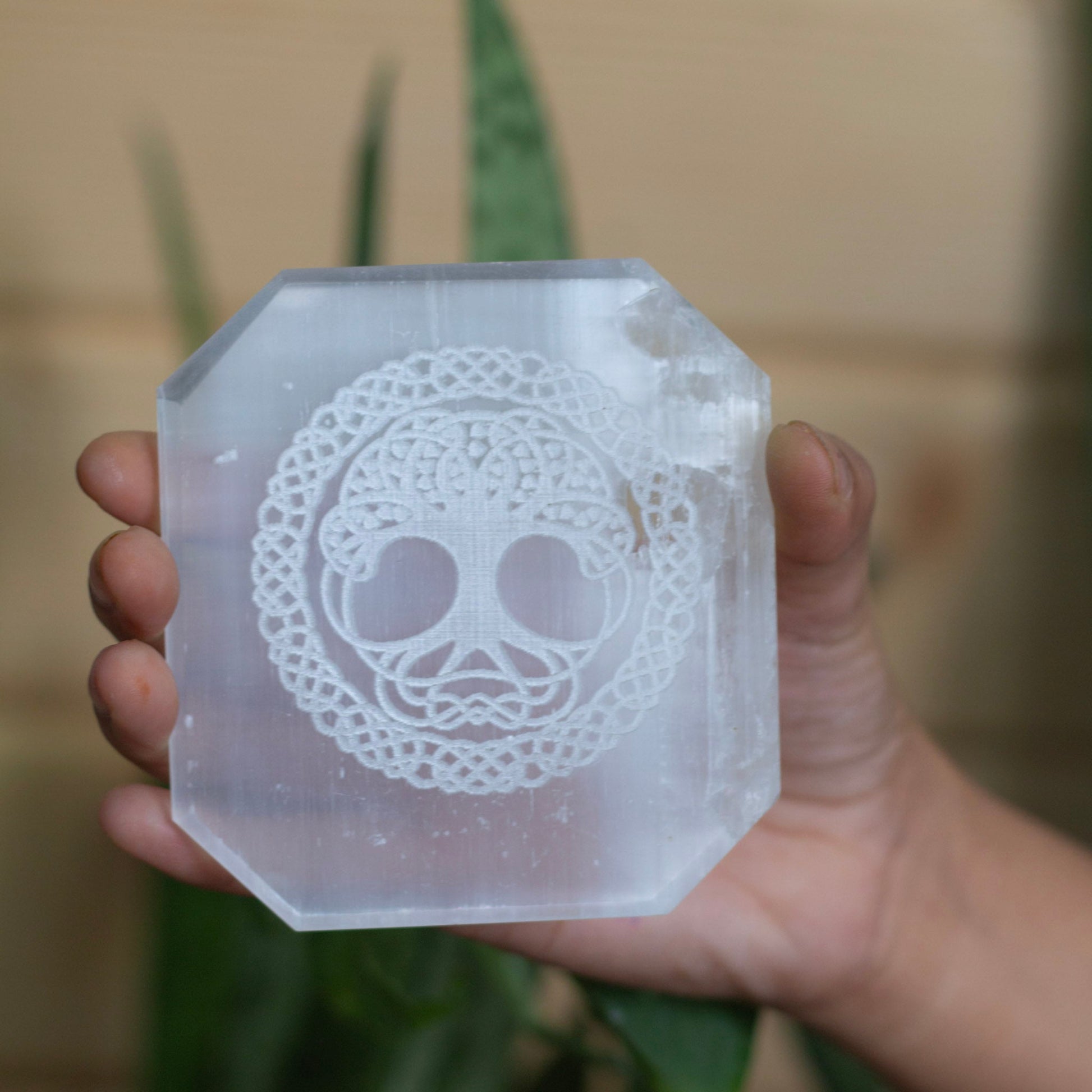 Tree Of Life Symbol Carved Selenite Plate Crystal & Stones